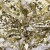 Трикотажное полотно, Сетка с пайетками, шир.130 см, #315, цв.-белый/золото - купить в Сыктывкаре. Цена 693.39 руб.