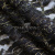 Кружевное полотно XD LACE 1-4, 80 гр/м2, шир.150см, цвет чёрный - купить в Сыктывкаре. Цена 245.94 руб.