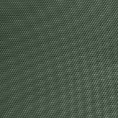Оксфорд (Oxford) 240D 19-5917, PU/WR, 115 гр/м2, шир.150см, цвет т.зелёный - купить в Сыктывкаре. Цена 154.09 руб.