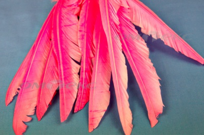 Декоративный Пучок из перьев, перо 25см/розовый - купить в Сыктывкаре. Цена: 14.40 руб.