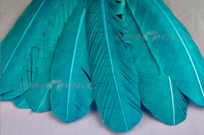 Декоративный Пучок из перьев, перо 24см/голубой - купить в Сыктывкаре. Цена: 12.19 руб.