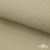 Ткань подкладочная TWILL 230T 14-1108, беж светлый 100% полиэстер,66 г/м2, шир.150 cм - купить в Сыктывкаре. Цена 90.59 руб.