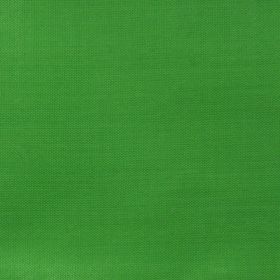 Ткань подкладочная Таффета 17-6153, 48 гр/м2, шир.150см, цвет трава - купить в Сыктывкаре. Цена 54.64 руб.