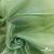 Ткань органза, 100% полиэстр, 28г/м2, шир. 150 см, цв. #27 зеленый - купить в Сыктывкаре. Цена 86.24 руб.