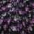 Плательная ткань "Фламенко" 20.1, 80 гр/м2, шир.150 см, принт растительный - купить в Сыктывкаре. Цена 243.96 руб.