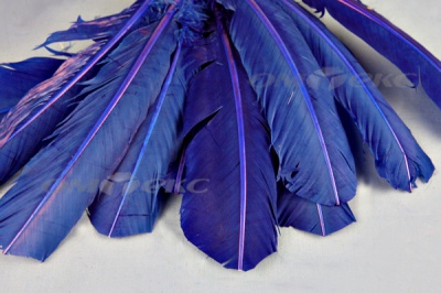 Декоративный Пучок из перьев, перо 23см/синий - купить в Сыктывкаре. Цена: 12.34 руб.